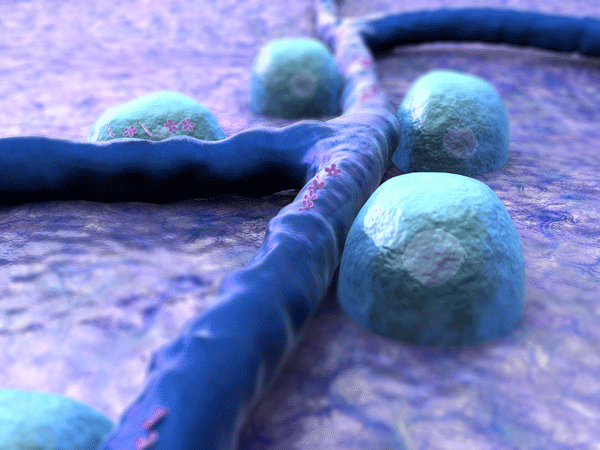 12001162.png 微信图片_20250410100859.png